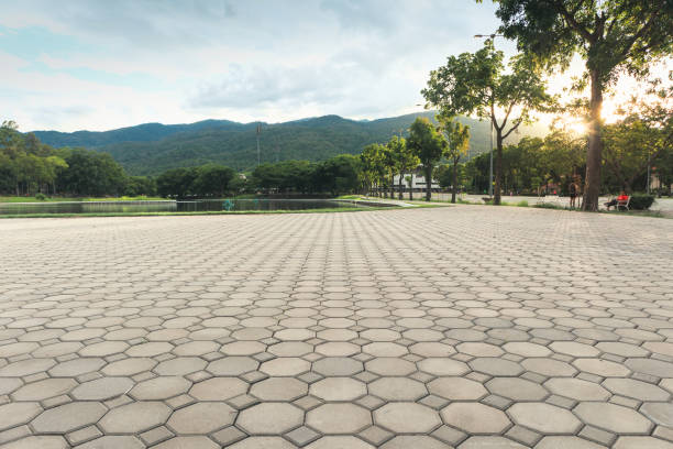 Best Driveway Pavers Installation  in Lorton, VA
